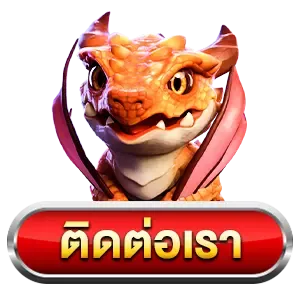 ติดต่อเรา